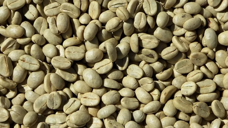 cafe verde wide 768x432